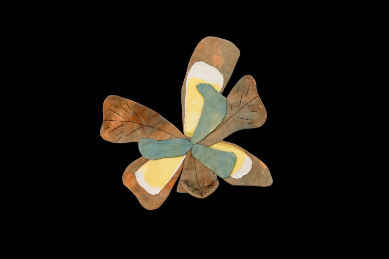 Wild Blue Iris by K. Powers