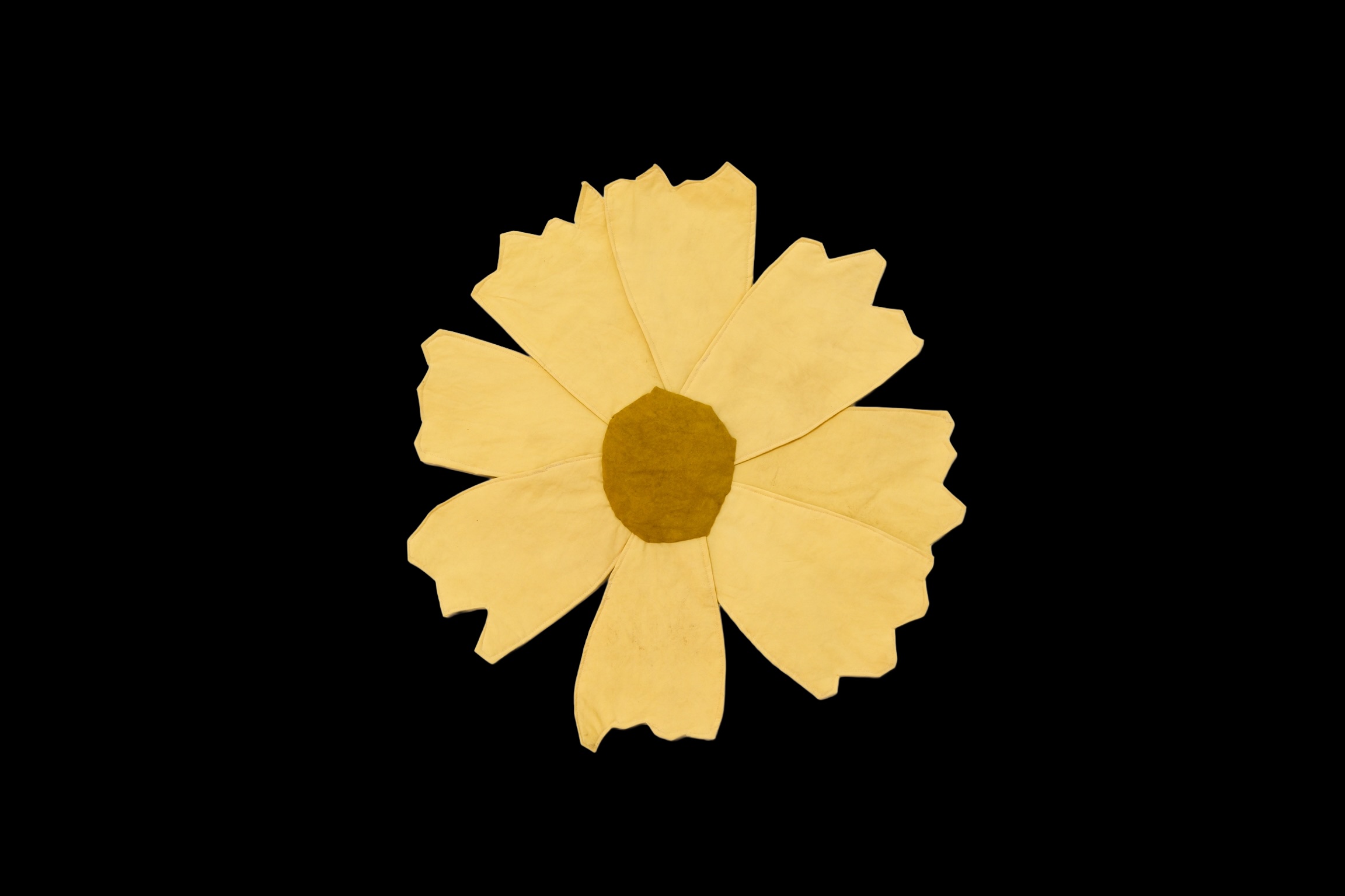 Sand Coreopsis by K. Powers