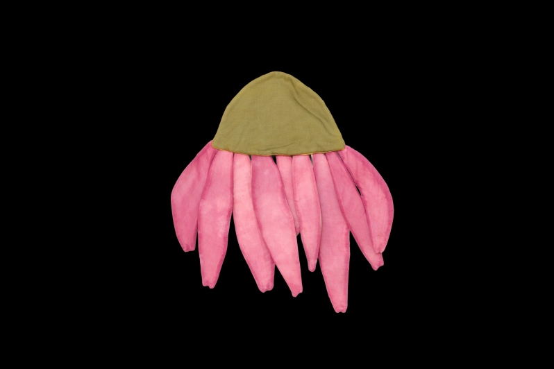 Purple Cone Flower by K. Powers