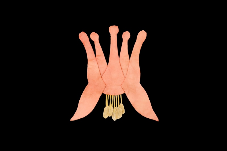 Columbine by K. Powers