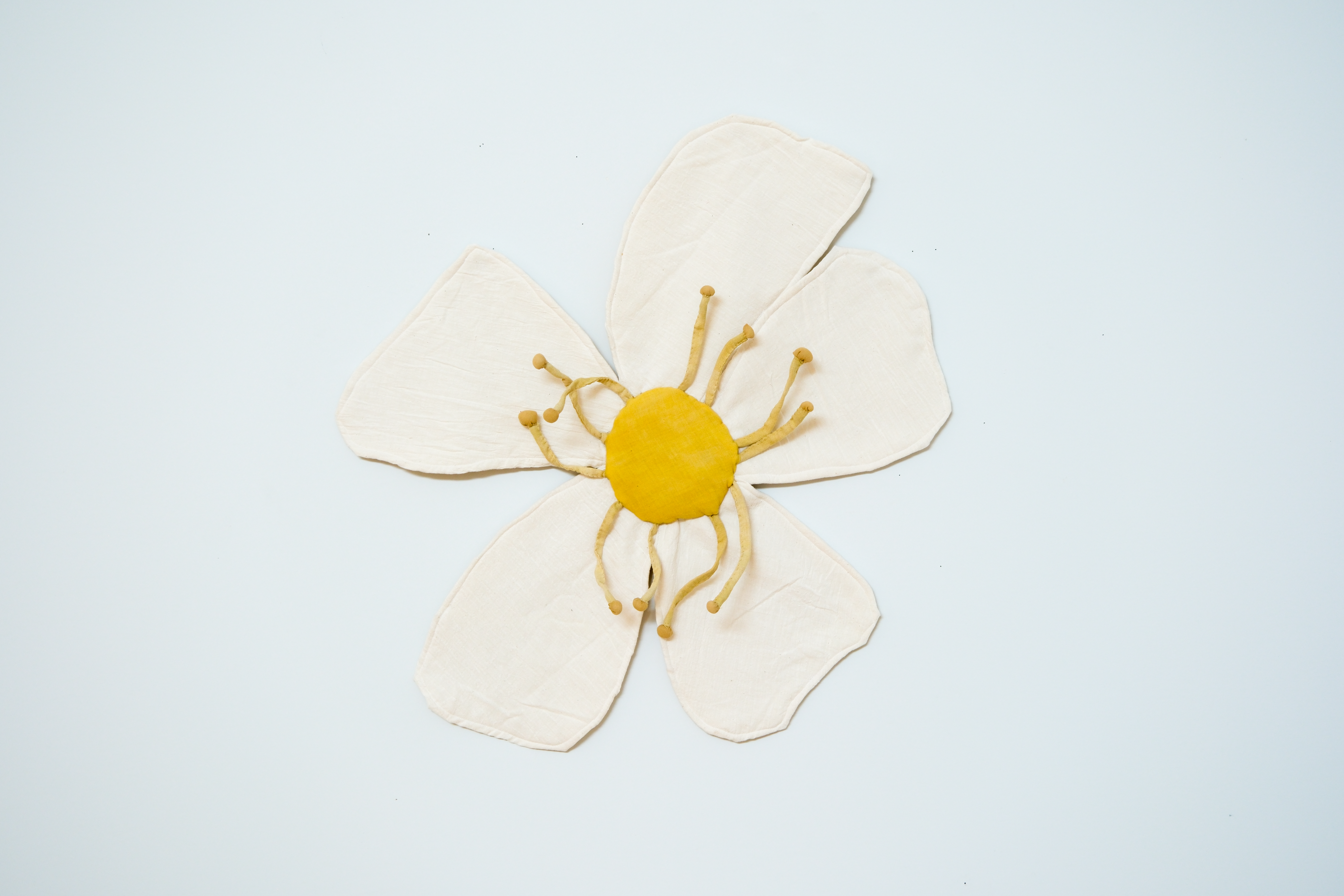 Anemone by K. Powers