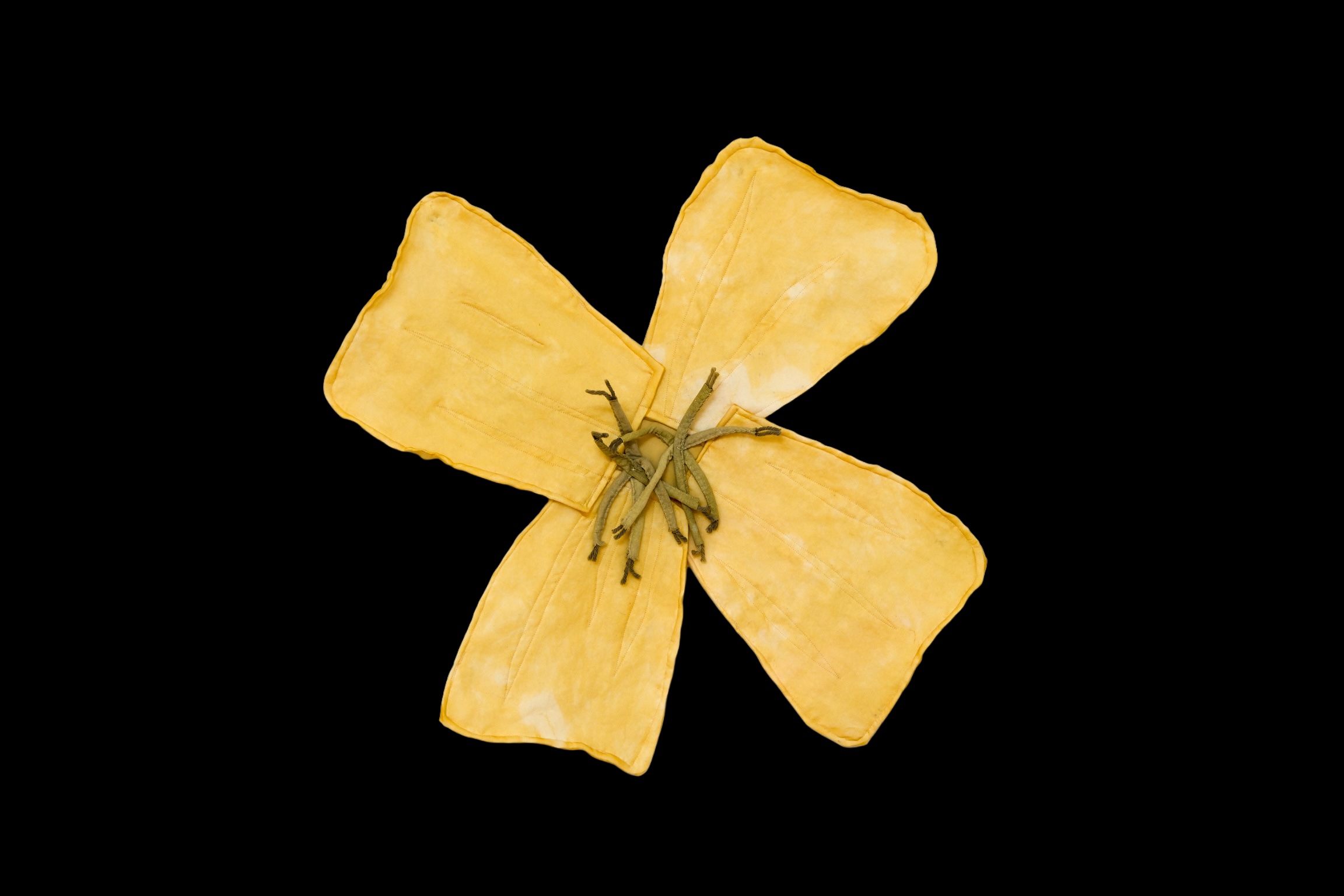 Evening Primrose by K. Powers