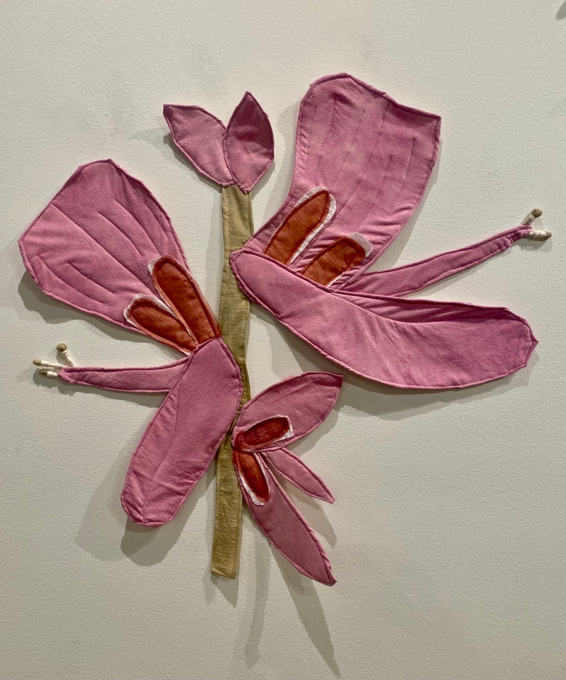 Showy Tick Trefoil by K. Powers