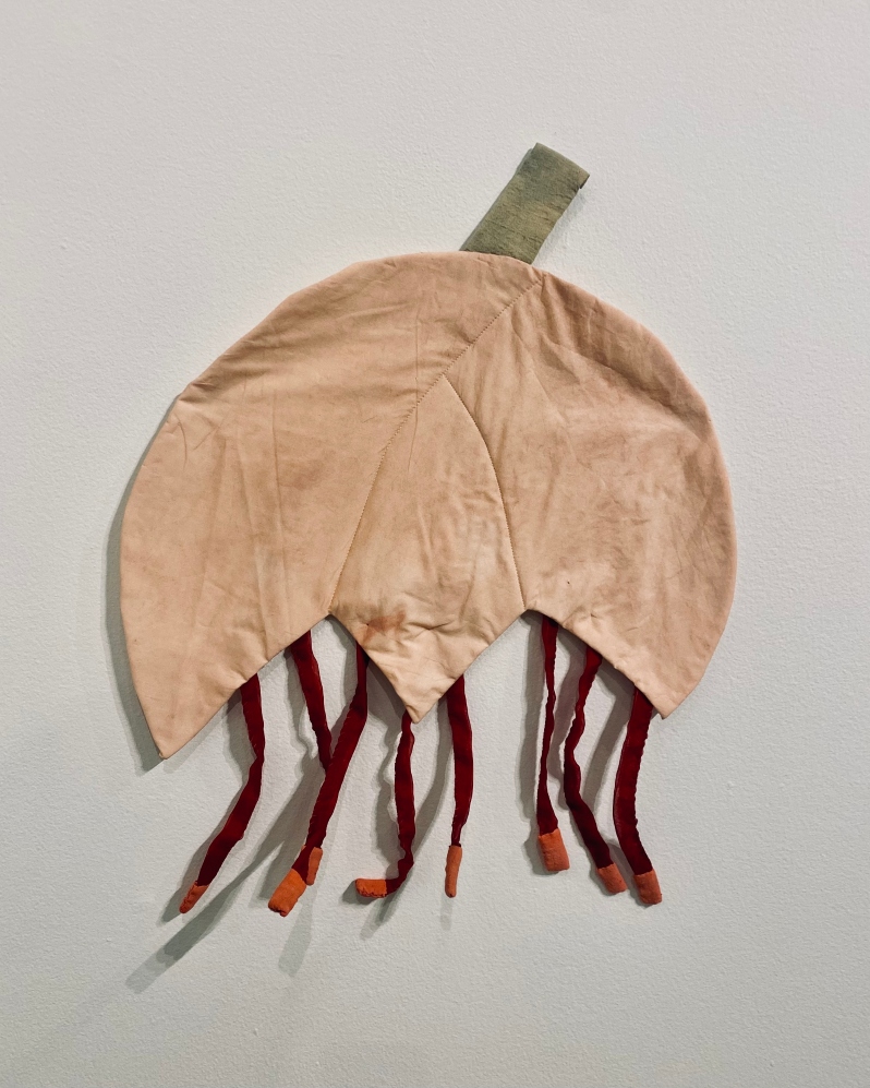 Early Meadow Rue by K. Powers