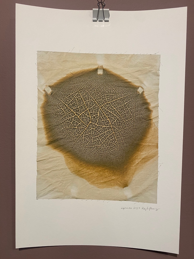 Chromatic Ecology | Spruce by K. Powers