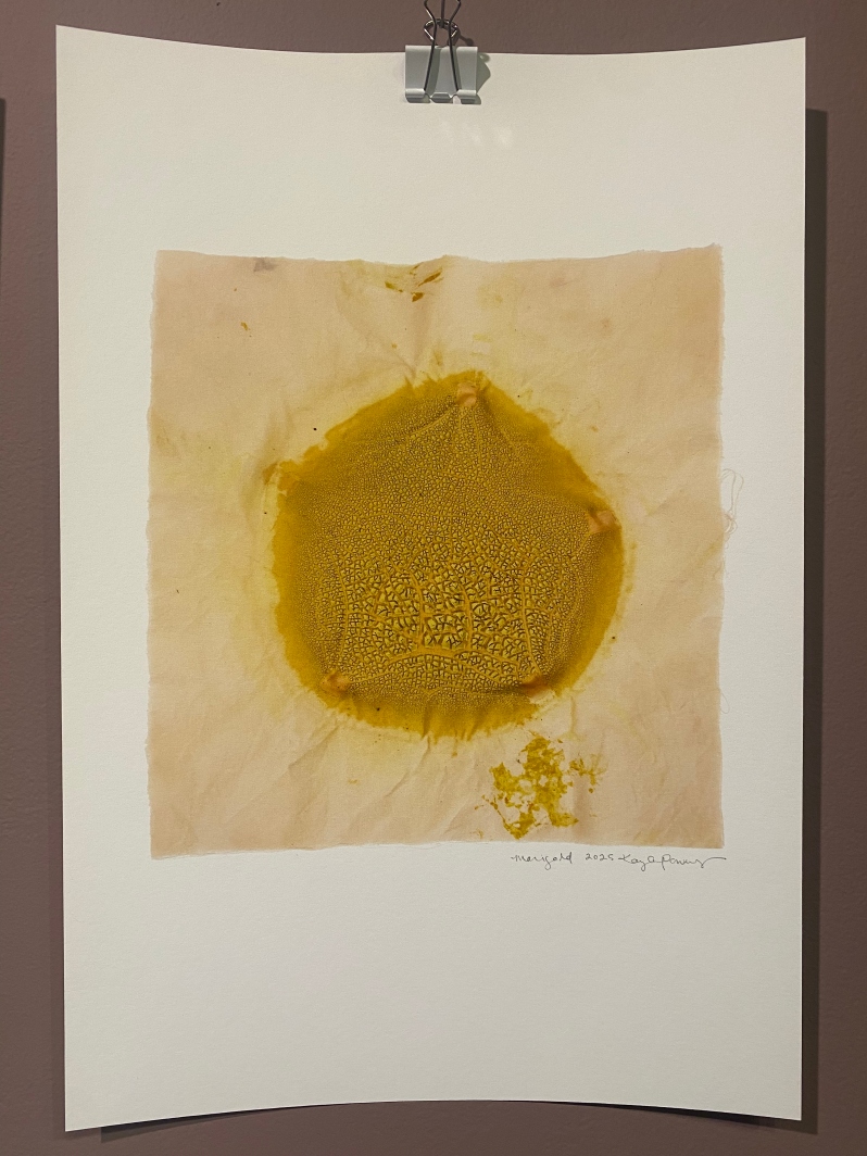 Chromatic Ecology | Marigold by K. Powers