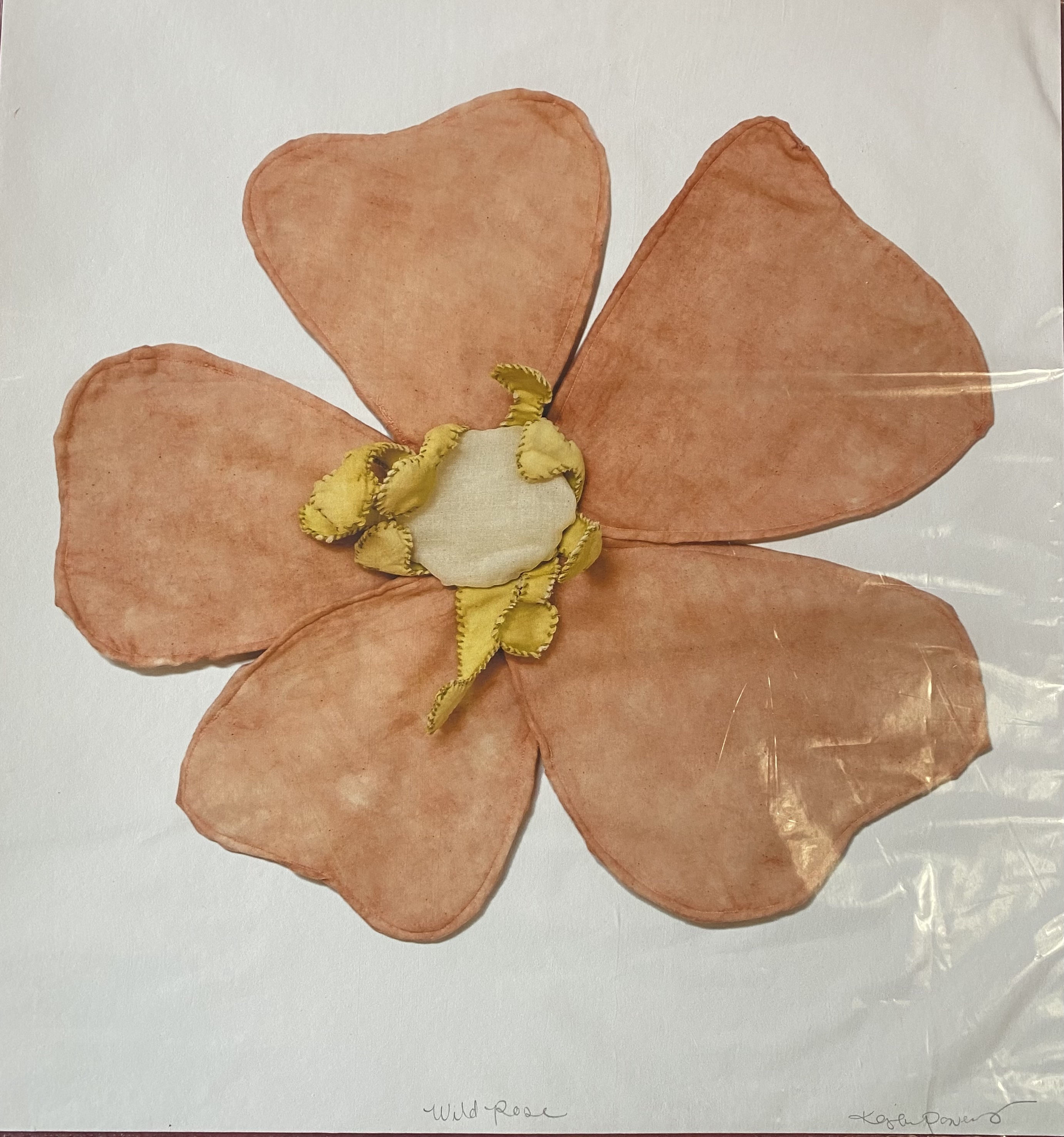 Print | Wild Rose by K. Powers