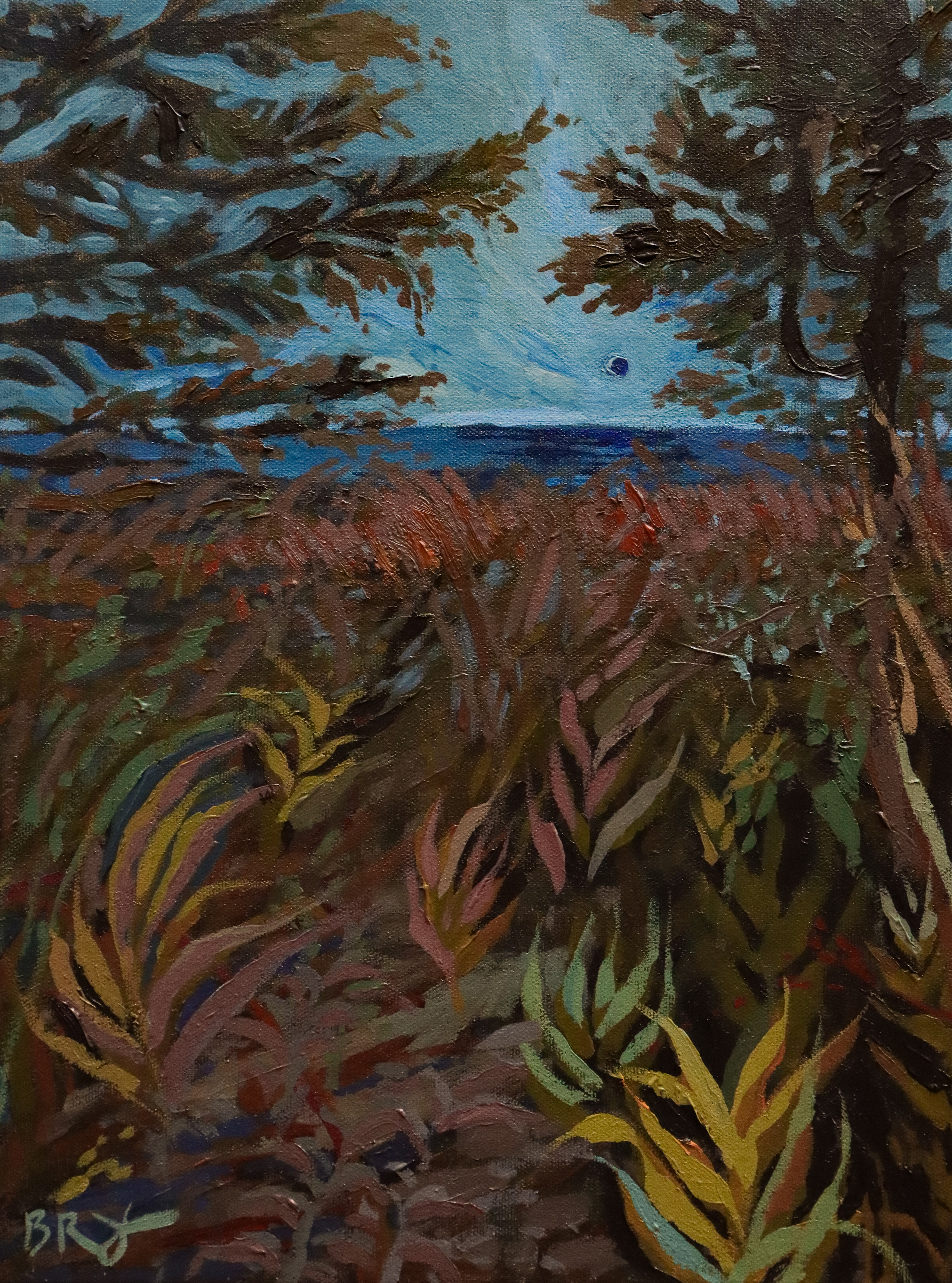 Blue Night by B. Manning