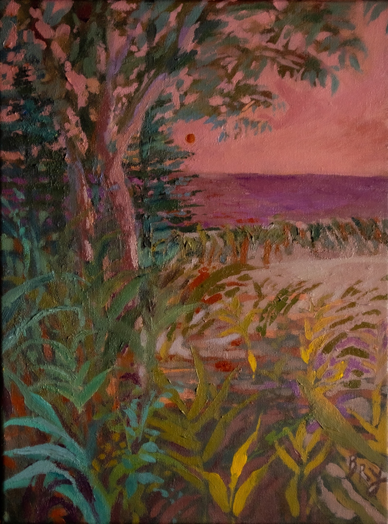 Amber Sun by B. Manning