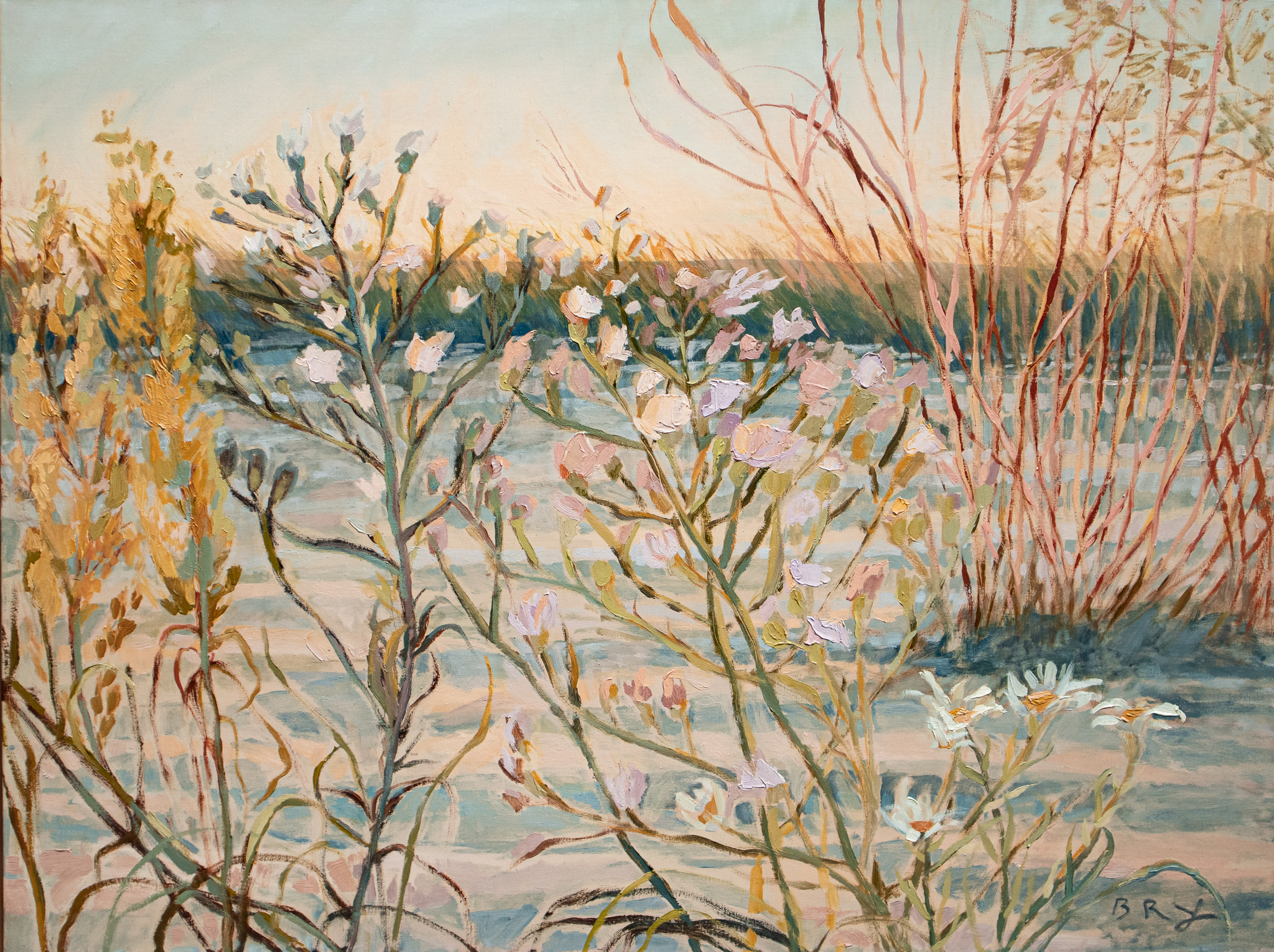Dune Blooms by B. Manning