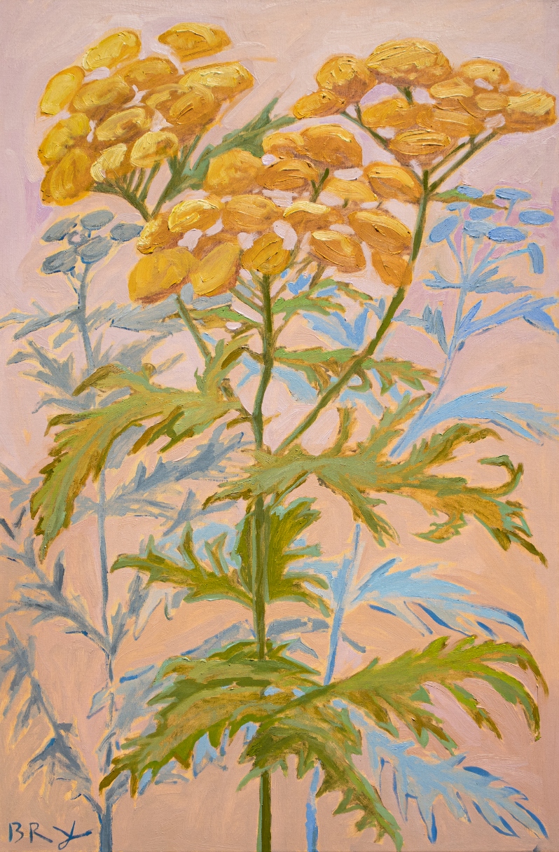 Lake Huron Tansy by B. Manning