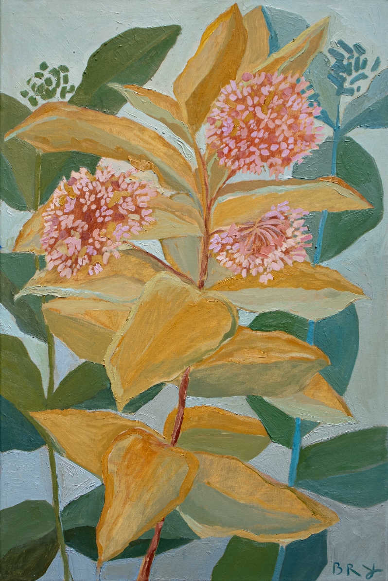 Milkweed Blooms by B. Manning