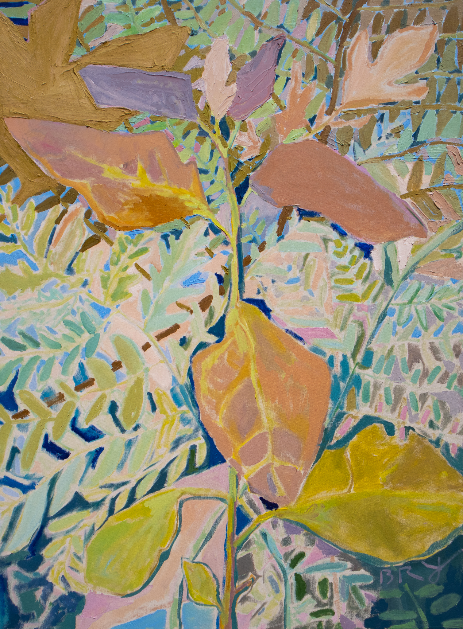 Growth by B. Manning
