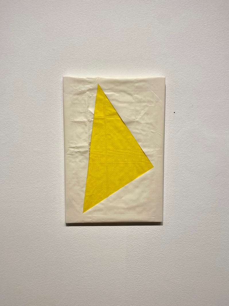 Blanco y Amarillo by J. Medina